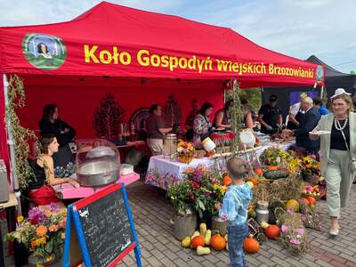 Dożynki Gminy Bargłów Kościelny 13.09.2026 r.